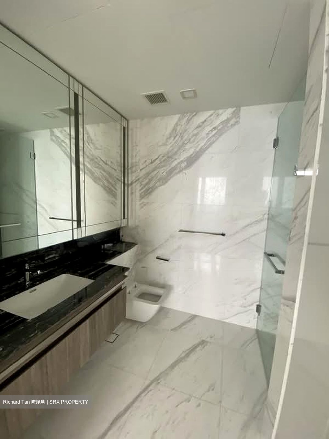 Wallich Street (D2), Condominium #591504181